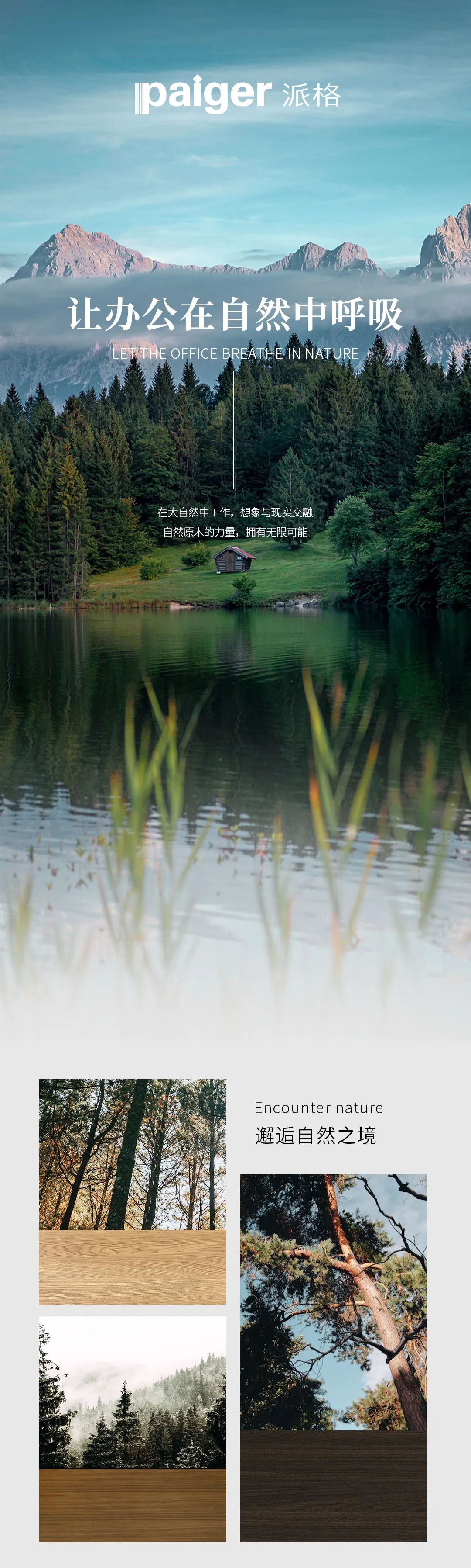 Paiger, let the office breathe in nature